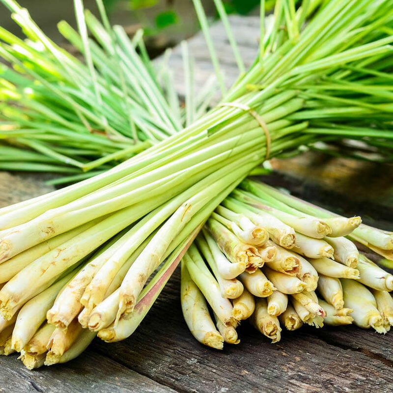 Fresh Lemongrass