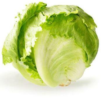 Iceburg Lettuce