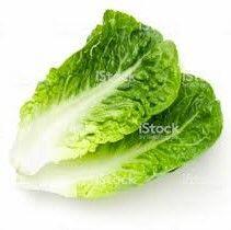 Romaine Lettuce